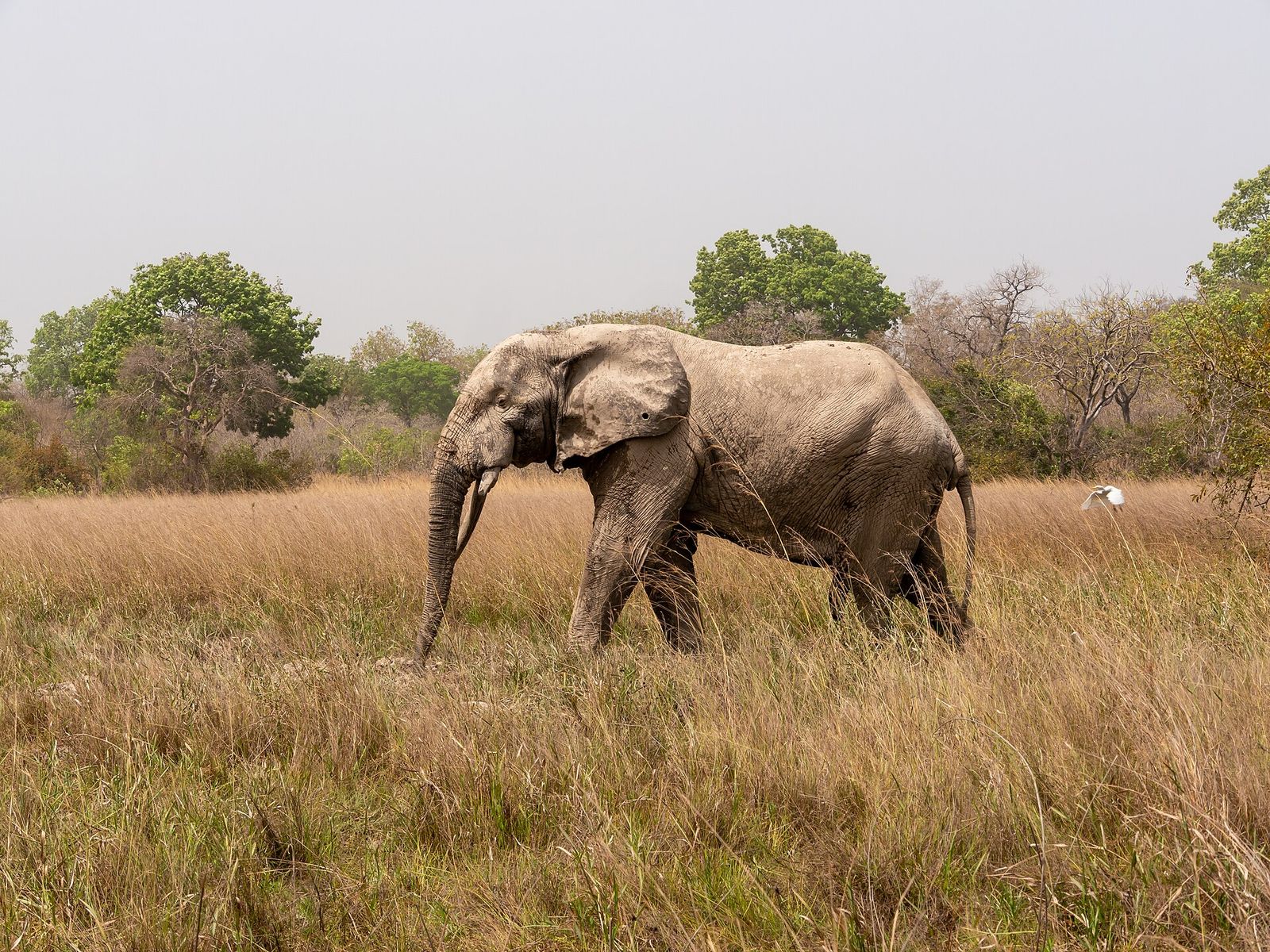 Plan a tour around your budget — Cadabra Tours Ghana travel guide